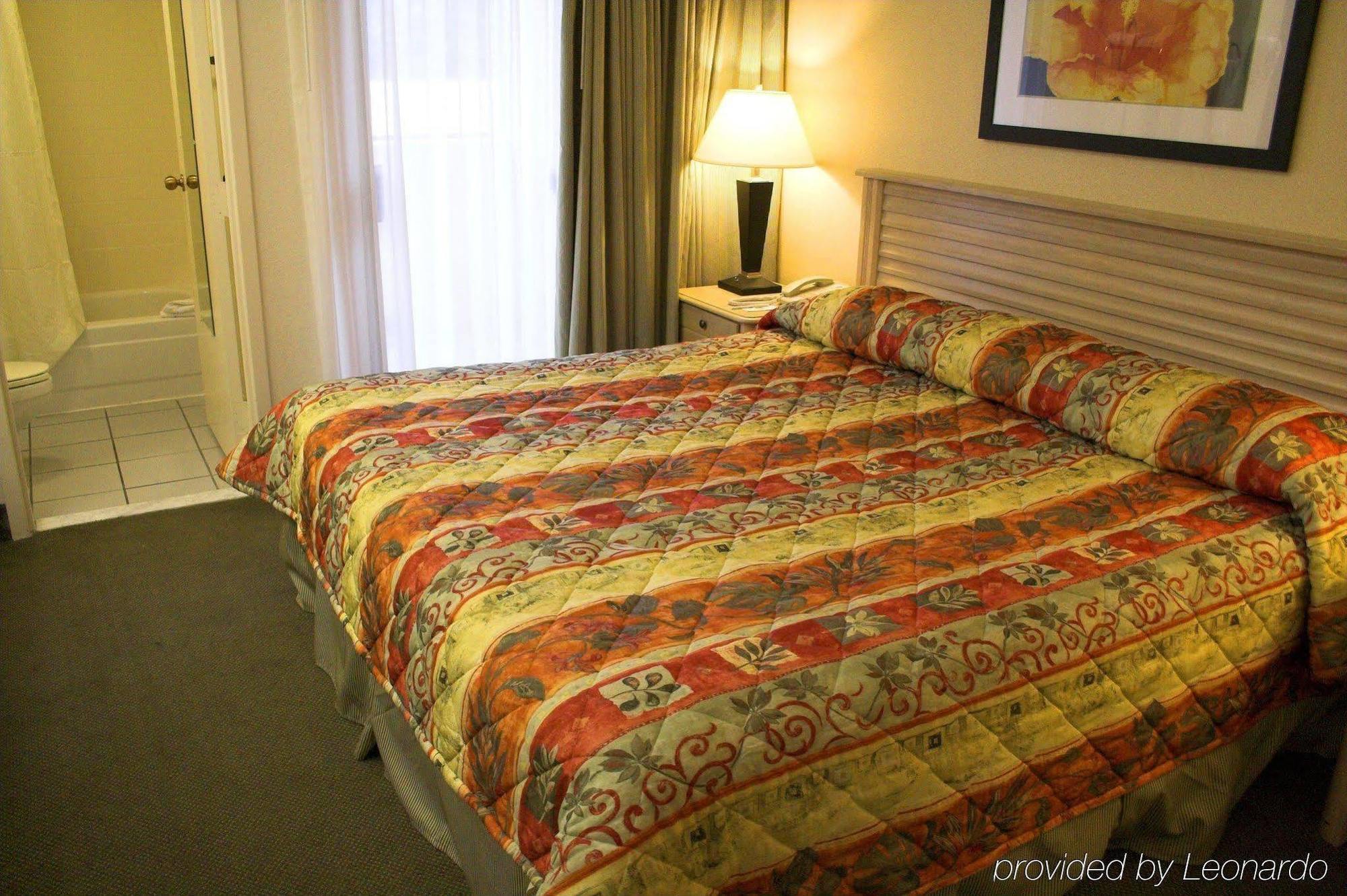 Baymont By Wyndham Tampa Near Busch Gardens Hotel Room photo